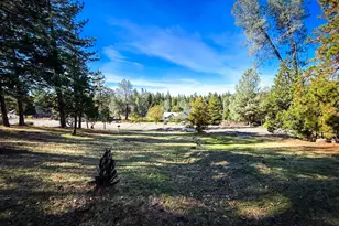 297 Forest Meadows Dr, Murphys, CA 95247 - Photo 1