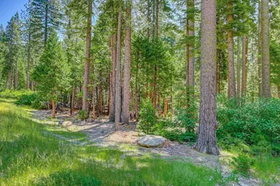 10 Timber Trail Court, Camp Connell, CA 95223 - Photo 2