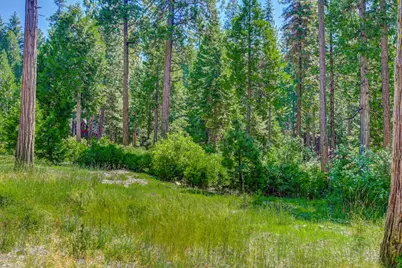 10 Timber Trail Court, Camp Connell, CA 95223 - Photo 4