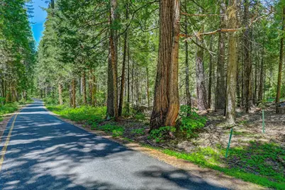 10 Timber Trail Court, Camp Connell, CA 95223 - Photo 6