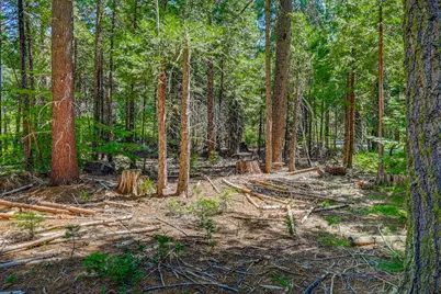 11 Timber Trail Court, Camp Connell, CA 95223 - Photo 4