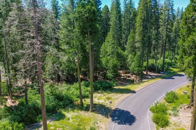 11 Timber Trail Court, Camp Connell, CA 95223 - Photo 10