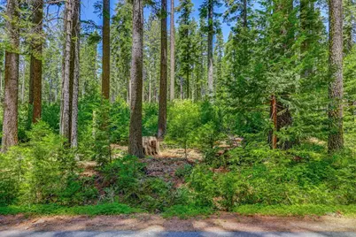 11 Timber Trail Court, Camp Connell, CA 95223 - Photo 8