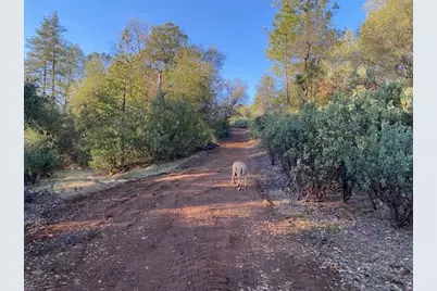 0 Murphys Camp Road, Murphys, CA 95247 - Photo 12