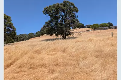 3669 Little John Road, Copperopolis, CA 95228 - Photo 8