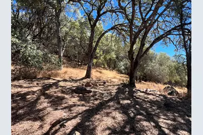 1749 Pinto Drive, Angels Camp, CA 95222 - Photo 12