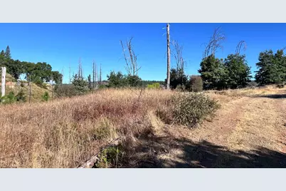 6028 Railroad Flat Rd., Mountain Ranch, CA 95246 - Photo 1