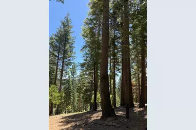 5186 Meko, Camp Connell, CA 95223 - Photo 2
