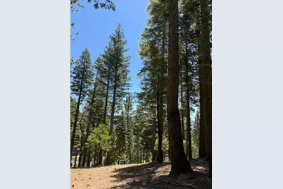 5186 Meko, Camp Connell, CA 95223 - Photo 4