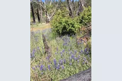 6321 W Old Emigrant Trail, Mountain Ranch, CA 95246 - Photo 6