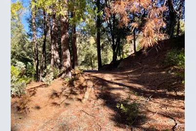 50963 Chu Ranch Road, Oakhurst, CA 93644 - Photo 1