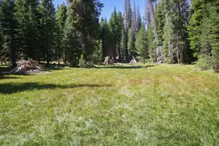 67922 Beasore Rd, Bass Lake, CA 95604 - Photo 30