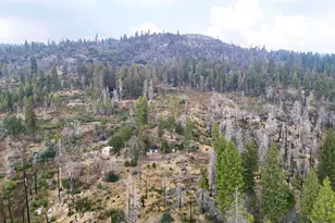 38295 Cressman Rd, Shaver Lake, CA 93664 - Photo 28