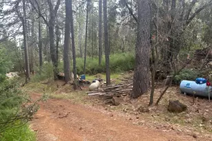 22596 Alaire Ln, Pioneer, CA 95666 - Photo 30