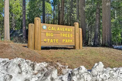 [Address not provided], Arnold, CA 95223 - Photo 54