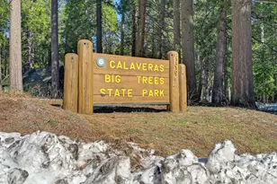 3353 Pocatello, Arnold, CA 95223 - Photo 54