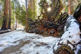 3353 Pocatello, Arnold, CA 95223 - Photo 62