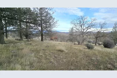 730 Grouse Way, Hornbrook, CA 96044 - Photo 8