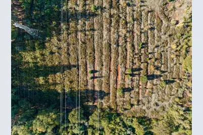 2700 Dancing Oaks Road, Camino, CA 95709 - Photo 14