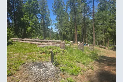 12181 Robust Way, Nevada City, CA 95959 - Photo 2