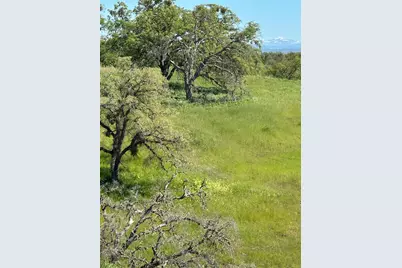 49 Cormorant, Wallace, CA 95254 - Photo 1