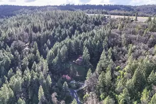 6301 Canyon Creek Rd, Georgetown, CA 95634 - Photo 82