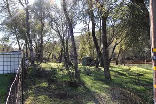 11187 Peoria Rd, Browns Valley, CA 95918 - Photo 34