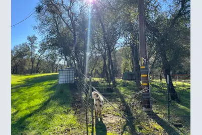 11187 Peoria Road, Browns Valley, CA 95918 - Photo 42