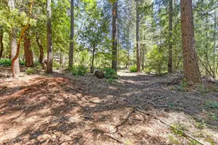 6960 Blackhawk Ln, Foresthill, CA 95631 - Photo 68