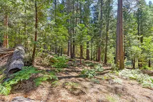 6960 Blackhawk Ln, Foresthill, CA 95631 - Photo 76