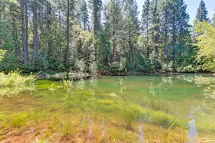 6960 Blackhawk Ln, Foresthill, CA 95631 - Photo 8