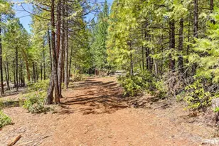 6960 Blackhawk Ln, Foresthill, CA 95631 - Photo 84