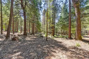 6960 Blackhawk Ln, Foresthill, CA 95631 - Photo 96