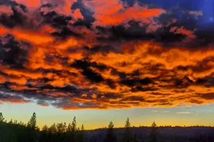 23003 Pleasant Valley Rd, North San Juan, CA 95960 - Photo 16