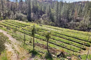 23003 Pleasant Valley Rd, North San Juan, CA 95960 - Photo 26