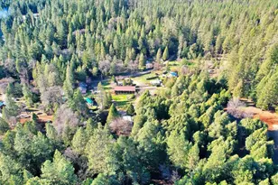 18123 Joy Circle, Challenge, CA 95925 - Photo 52