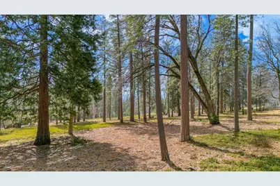 5556 Wylderidge Drive, Murphys, CA 95247 - Photo 8