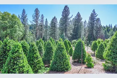 2640 Sky Ranch Lane, Camino, CA 95709 - Photo 6