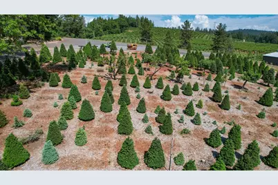 2640 Sky Ranch Lane, Camino, CA 95709 - Photo 52