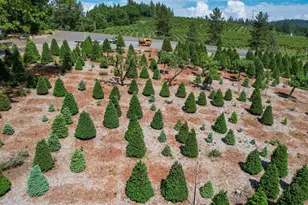 2640 Sky Ranch Ln, Camino, CA 95709 - Photo 52