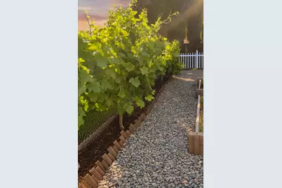 138 S Roxie Court, Ripon, CA 95366 - Photo 42