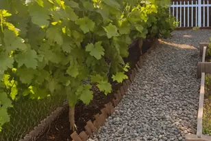 138 Roxie Ct, Ripon, CA 95366 - Photo 42