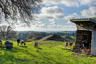 8555 Vista Ave, Lincoln, CA 95648 - Photo 30