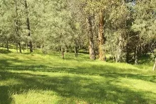 20818 Crescent Way, Groveland, CA 95321 - Photo 1