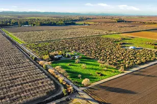 29680 County Road 5, Dunnigan, CA 95937 - Photo 48