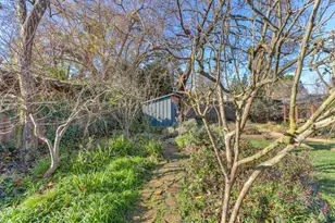 709 A St, Davis, CA 95616 - Photo 50