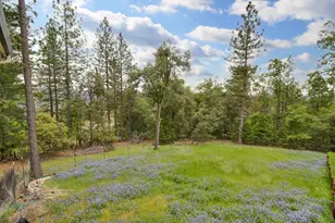 12615 Hilltop Ct, Pine Grove, CA 95665 - Photo 36