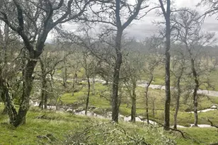 21271 Latrobe Rd, Plymouth, CA 95669 - Photo 46