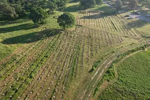 21271 Latrobe Rd, Plymouth, CA 95669 - Photo 42