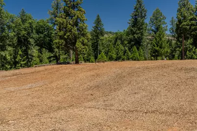 7401 Schaad Road, Wilseyville, CA 95257 - Photo 60